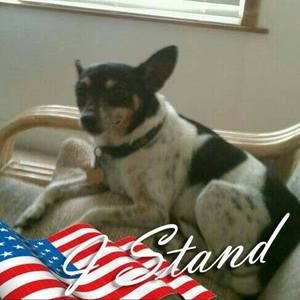 Meet your Posher, Thomas